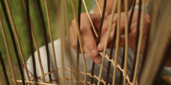 Volg één van onze workshops