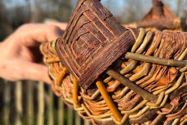 6f816817-57b7-4ee0-b7fc-ed1ef76c97d8